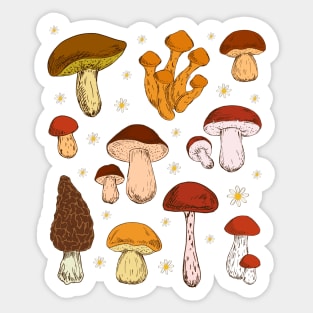 Fantastic Fungi, Wonderful World of Mushrooms Sticker